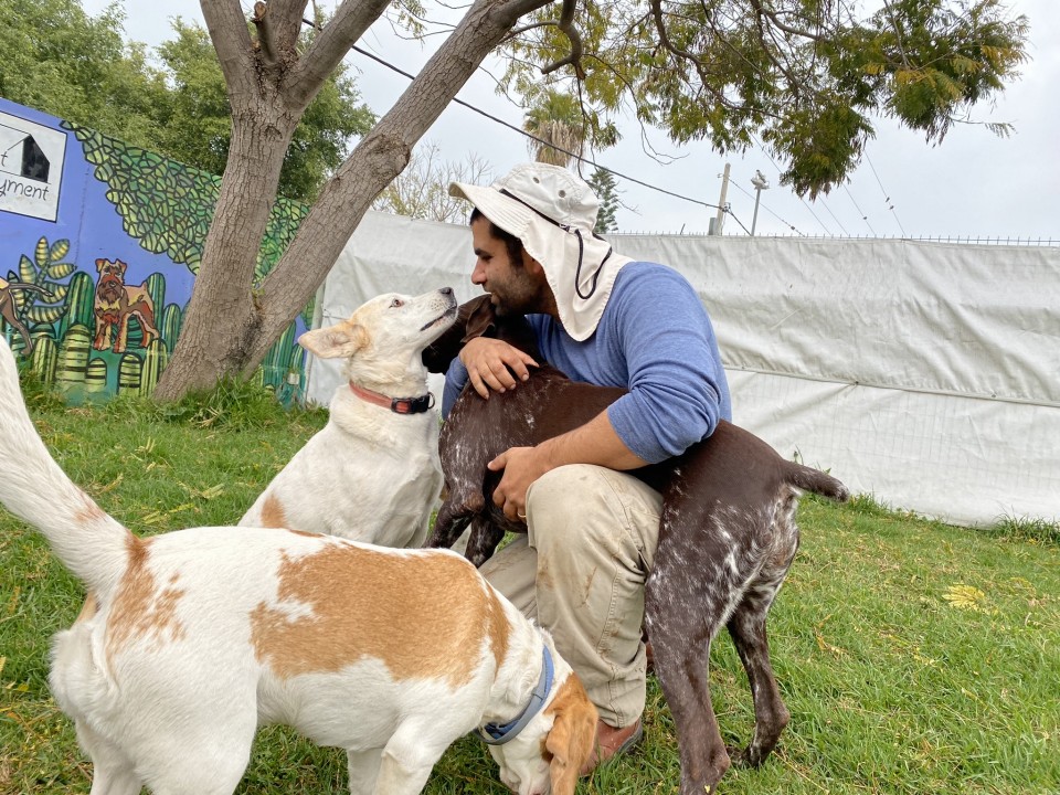 סרטונים